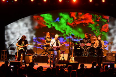 The Gilmour Project Exploring the music of David Gilmour's Pink Floyd.