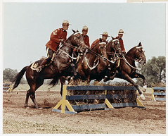 Four Royal Canadian Mounted Police Musical Ride members jumping hurdles / Quatre membres du Carrousel de la Gendarmerie royale du Canada sautant par-dessus des haies