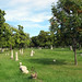 Pioneers & Soldiers Memorial Cemetery