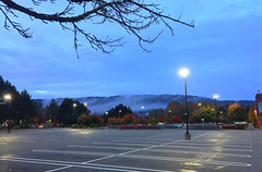 2019 YIP Day 297: Issaquah morning