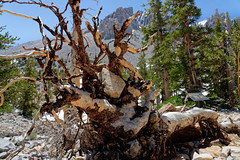 Premium Outdoor Experiences at Great Basin National Park