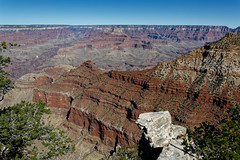 Real Grand Canyon National Park!