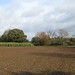 field path to Chaddleworth 2