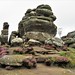 Weathered outcrop at Brimham Rocks 4