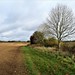 field path to Chaddleworth 3