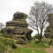 Weathered outcrop at Brimham Rocks, showing cross-bedding