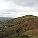 Looking south along the Malverns