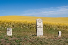 Prairie Cemetery 6339 A