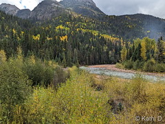 September 27, 2022 - Fall colors near Durango. (Kathi D)
