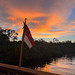 Indonesian flag in front of jungle sunset