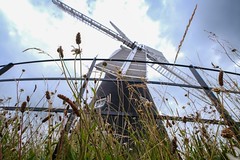 Holgate Windmill, July 2022