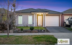 19 Elsey Way, Clyde North VIC