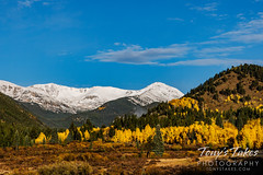 October 1, 2022 - Beautiful fall scene on Webster Pass. (Tony's Takes)