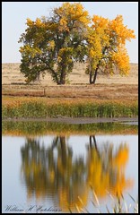 October 12, 2022 - Beautiful fall reflections. (Bill Hutchinson)