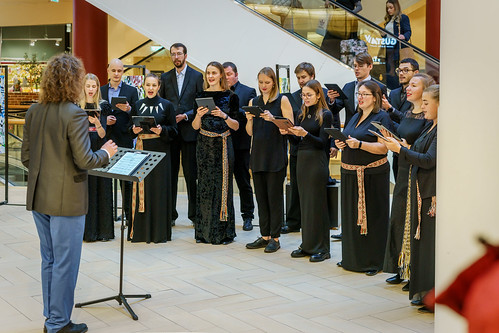 Muusikapäev 2022 - Collegium Musicale Solarises