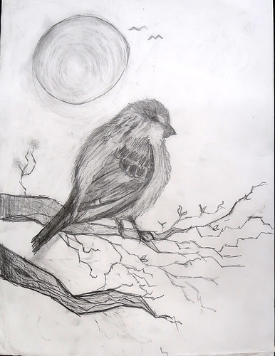 Bird by Natalia Pauzauskie