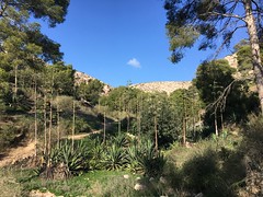 Paraje de la Molineta - Almería