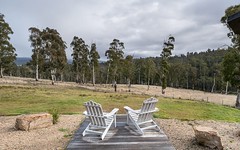 Mt TOP CABINS/1186b Great Alpine Road, Omeo VIC