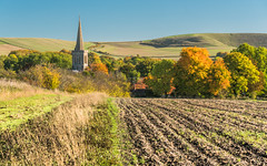 Autumn Colours at Bishops Cannings II (Explored)