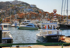 Tender Boats docked at the Cabo Marina