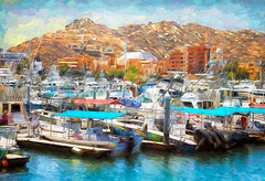 Boats in the Marina at Cabo San Lucas Mexico