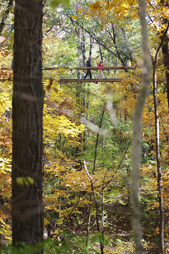 Hidden Lake Gardens Canopy Walk Ribbon Cutting, October 2022