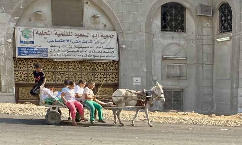 #Streetscene in #Cairo and #Giza , #Egypt #September2022<br/>© <a href="https://flickr.com/people/32374483@N00" target="_blank" rel="nofollow">32374483@N00</a> (<a href="https://flickr.com/photo.gne?id=52452398121" target="_blank" rel="nofollow">Flickr</a>)