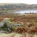 layered gritstone outcrop overlooking Redmires Reservoirs