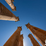Colonne del Tempio di Artemide, Jerash