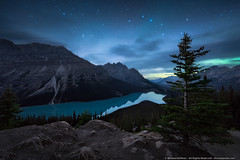 Magical Night in the Canadian Rockies