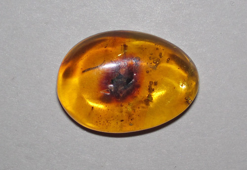 Fossiliferous amber (Dominican Republic) 2