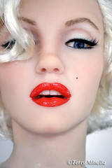 2022 . my sculpture of Marilyn Monroe lifesize silicone head and neck statue mannequin