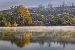 Pond Autumn Fog 5071 A