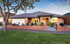 17 Coach House Drive, Attwood VIC