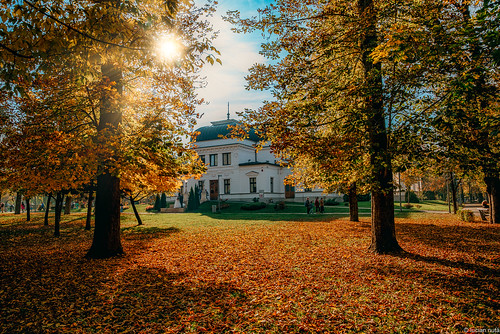 Autumn in Cluj-Napoca