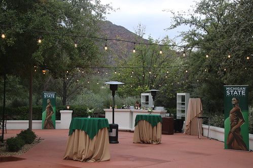 Green and White Evening in Phoenix, November 2022