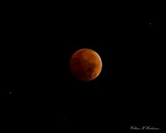 November 8, 2022 - The total lunar eclipse. (Bill Hutchinson)