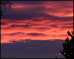November 5, 2022 - Cool sunrise clouds. (Bill Hutchinson)