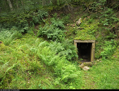 20200718_3 Entrance of old mine at Qvarnstensgruvan | The trail Biosfärleden near Lugnås, Sweden