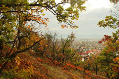 Vista of the town / Kilátás a városra