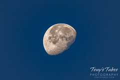 November 13, 2022 - Beautiful waning gibbous moon. (Tony's Takes)