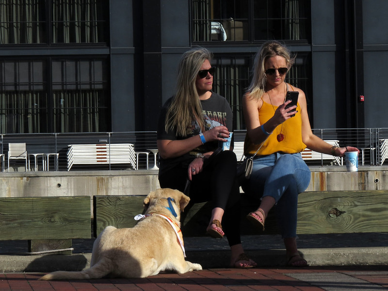 Two Women And A Dog<br/>© <a href="https://flickr.com/people/89903901@N00" target="_blank" rel="nofollow">89903901@N00</a> (<a href="https://flickr.com/photo.gne?id=52501286172" target="_blank" rel="nofollow">Flickr</a>)
