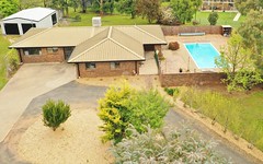 91 Back Creek Road, Young NSW