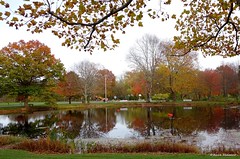 Autumn at the Park
