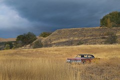 Abandoned Car Field 5327 A