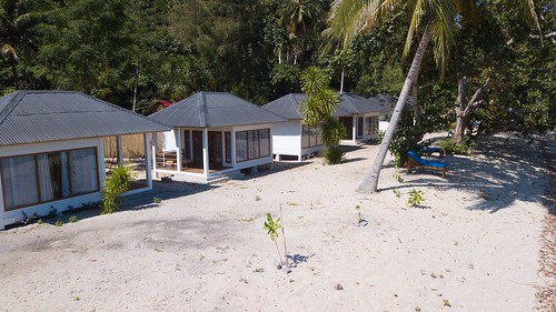 Oceanfront Cottage