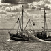 Nordsee, Wattenmeer: Krabbenkutter "Hoffnung" (hope)