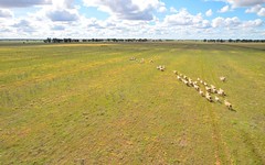 'Golden Acres' 416 Mid Western Highway, West Wyalong NSW
