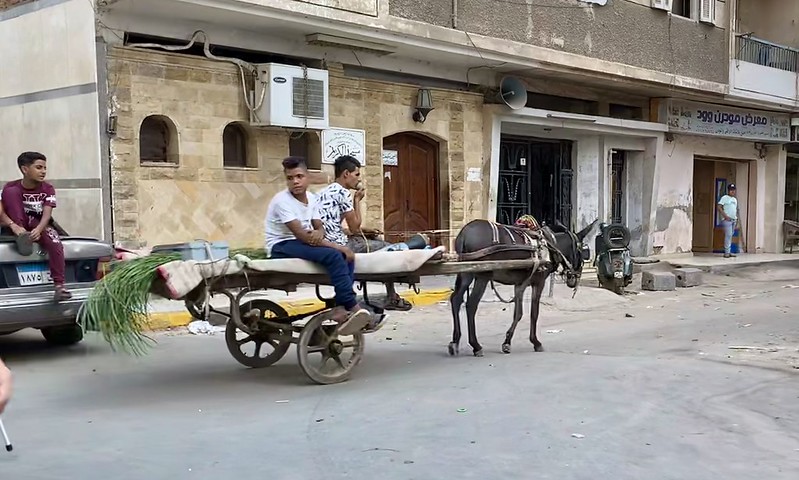 #StreetScene #Cairo #Egypt #2022<br/>© <a href="https://flickr.com/people/32374483@N00" target="_blank" rel="nofollow">32374483@N00</a> (<a href="https://flickr.com/photo.gne?id=52507404858" target="_blank" rel="nofollow">Flickr</a>)