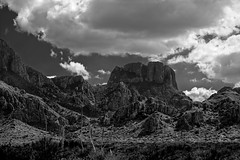 A Late Afternoon Drive in the Chisos Mountains (Black & White, Big Bend National Park)